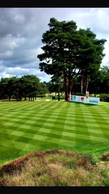 The lovely course at Ferndown where the Home Internationals were played